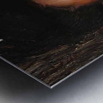 2389136 :: Brushed Metal Print
