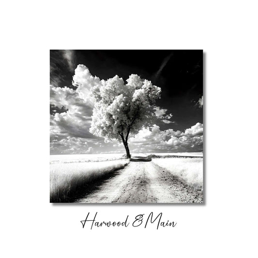 Black and White Tree Landscape Photography| Monochrome Landscape Photography| The Quiet Journey