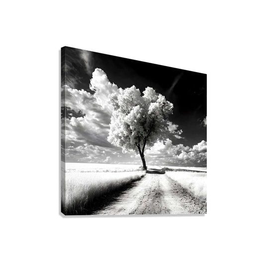 Black and White Tree Landscape Photography| Monochrome Landscape Photography| The Quiet Journey